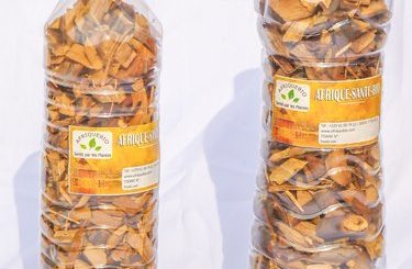 Cent Plantes Médicinales et Bienfaits