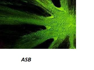 Savon Moringa Multiguerisons Maladies de Peau